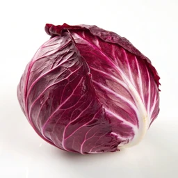 Red Cabbage