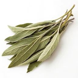 Sage, Dried