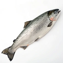Salmon, king or chinook, kippered, with skin, Alaska Native
