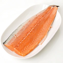 Salmon