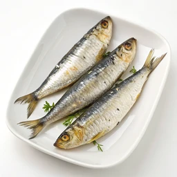 Wild Caught Sardines In Olive Oil by Season