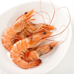 Seafood Shrimp Fresh Wild Jumbo by Freshdirect