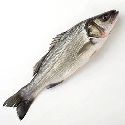 Seafood Whole Fish Farm-raised Branzino by Freshdirect