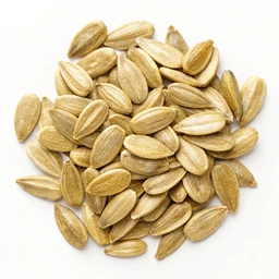 Seeds Sunflower Seed Kernels Dried
