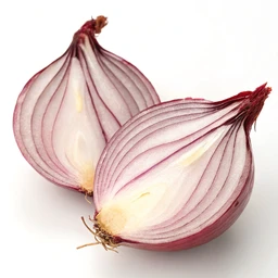 Shallot