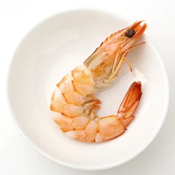 Shrimp
