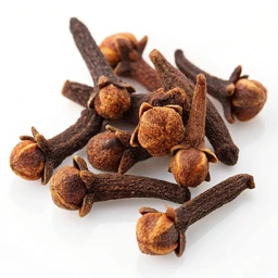 Spices Whole Cloves