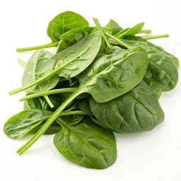Spinach, Raw