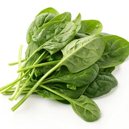 Spinach