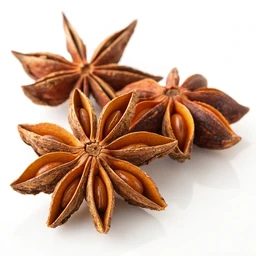 Star Anise Spice