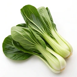 Stir Fry Baby Shanghai Boy Choy