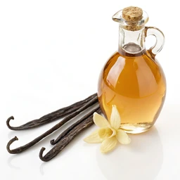 Sugar Free Syrup Vanilla