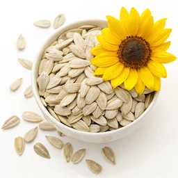 Sunflower Seeds