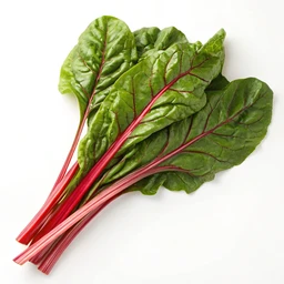 Swiss Chard Raw
