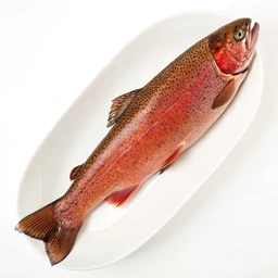 Trout, Ruby Red