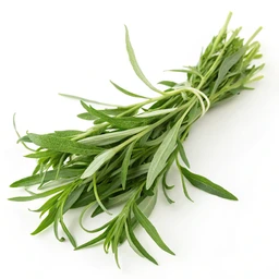 Vegetables Fresh Herbs Tarragon by Freshdirect