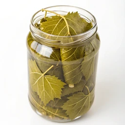 Vine leaves, canned or jarred.