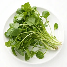 Watercress
