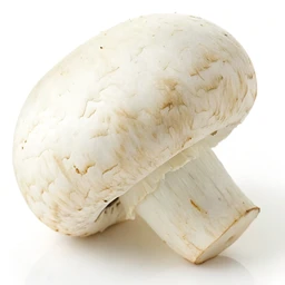 White Mushrooms
