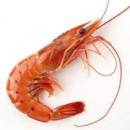 Wild Uncooked Argentinian Red Shrimp by Trader Joe's