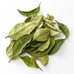 X.O Dried Kaffir Lime Leaf