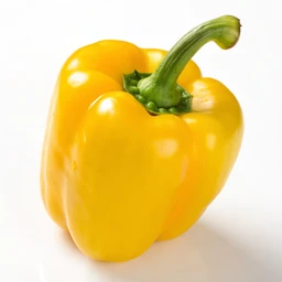 Yellow pepper